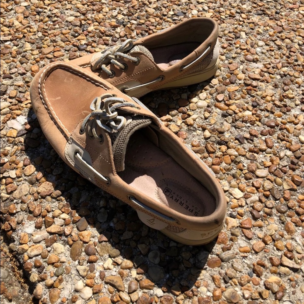 Sperry’s